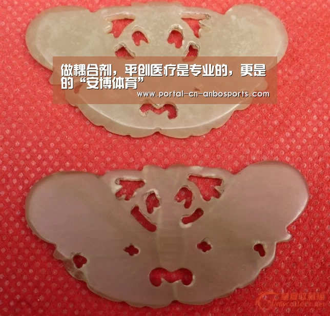 做耦合剂,平创医疗是专业的,更是的“安博体育”(图3) 安博体育